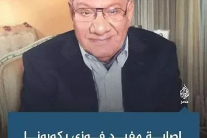 مفيد فوزي