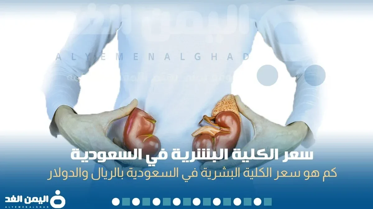 سعر الكلية البشرية 2026 في السعودية الريال السعودي الدولار الامريكي The price of a human kidney in Saudi Arabia