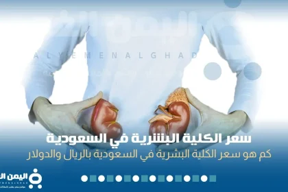 سعر الكلية البشرية 2026 في السعودية الريال السعودي الدولار الامريكي The price of a human kidney in Saudi Arabia
