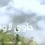 حاوي لاوي