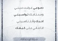 كلمات شيلة روح الروح ابو حنظلة شيلات ابو حنظلة 2022 – 2023