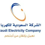 تنزيل تطبيق بوابتي شركة الكهرباء للموظفين 2023