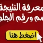 برقم الجلوس نتيجة الثانوية العامة 2019 في مصر ورابط موقع اليوم السابع مبتدا نتائج الطلاب الطالبات