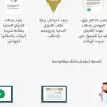 من 4 ساعات لدقيقة.. كيف اختصرت خدمة بياناتي المسافات وقلصت الوقت؟