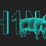 مرض انفلونزا الخنازير H1N1 يصل صنعاء