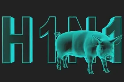 مرض انفلونزا الخنازير H1N1 يصل صنعاء