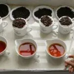 اليوم العالمي للشاي 2022 فماه هو