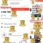بيع طفلة في تونس بـ 3500 دينار يثير الجدل " بنات للبيع "