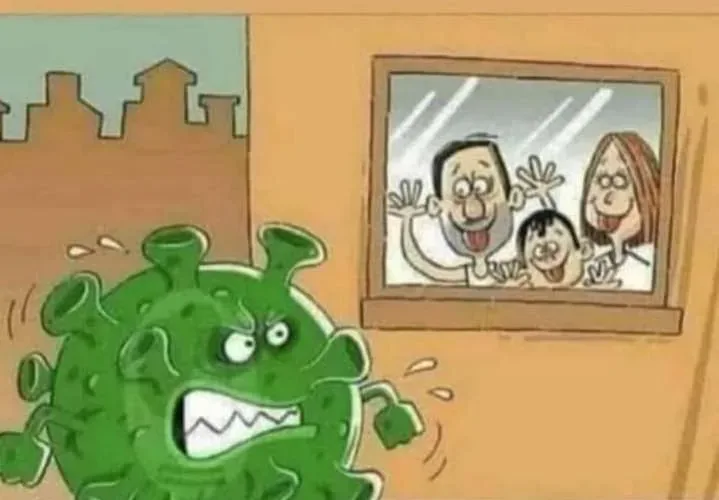 معنى كلمة stay home