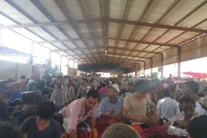 حقيقة اغلاق اسواق القات في صنعاء اليمن