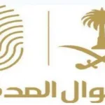 “الأحوال المدنية” تكشف عن 3 خدمات جديدة يمكن الحصول عليها دون زيارة الفروع