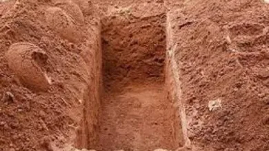 تفسير حلم دفن الميت مرة أخرى مع الصراخ بشدة