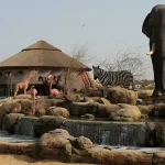 كم تبعد مسافة سفاري بارك عن الرياض