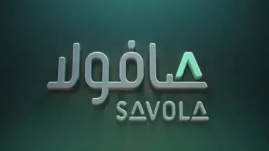 كم سعر سهم صافولا