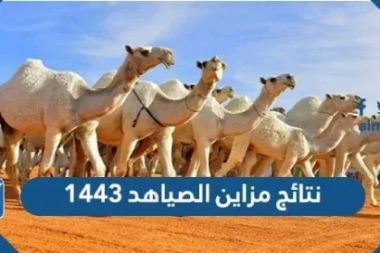 نتائج مزاين الصياهد 1443 الصفر