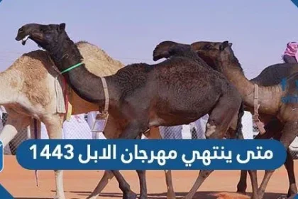 متى ينتهي مهرجان الابل 1443