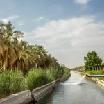 أنشأ مشروع الرٌي والصرف في الأحساء الملك
