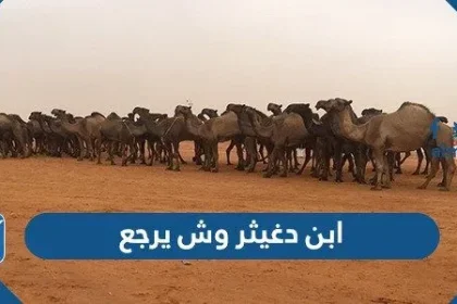 ابن دغيثر وش يرجع