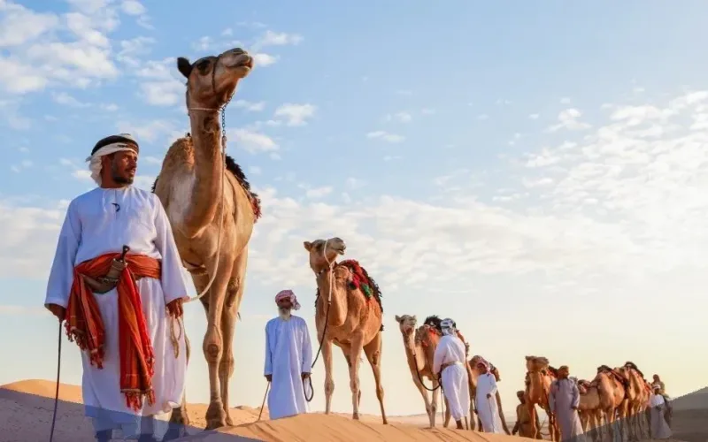 المنديل وش يرجعون