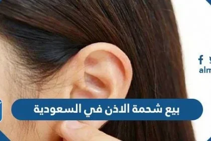 بيع شحمة الاذن في السعودية