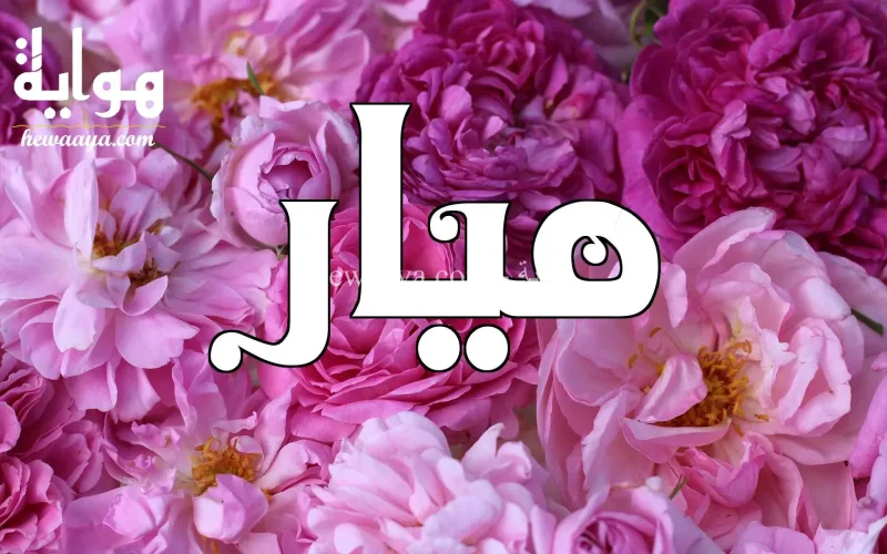 معنى اسم ميار وصفاتها