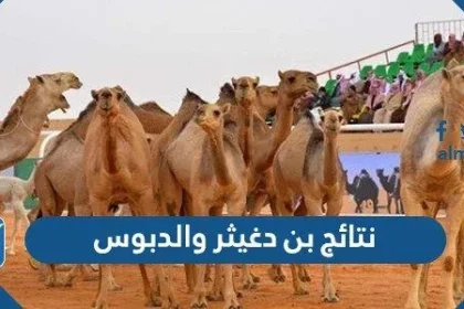 نتائج بن دغيثر والدبوس
