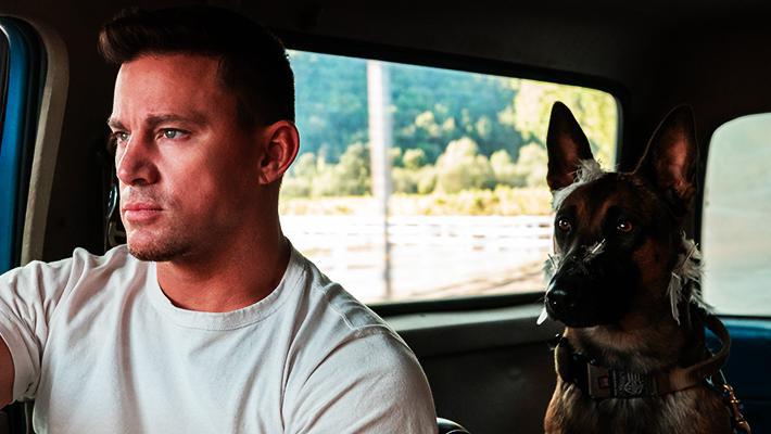 يتصدر باتمان قائمة الأفلام الأكثر ربحًا في دور العرض هذا الأسبوع