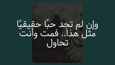 وإن لم تجد حبًا حقيقيًا مثل هذا.. فمت وأنت تحاول