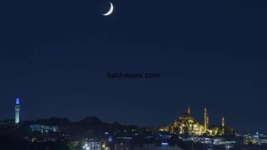 بلد نيوز