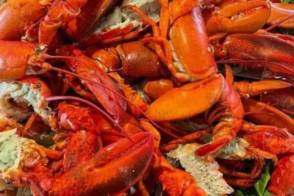 فوائد الإستاكوزا الصحية • فهرس