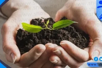 في عام 2019 ما هي فعالية شي ان الخيريه