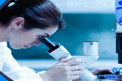 ماهي نسبة الباحثات الاناث في المجال العلمي في جميع انحاء العالم