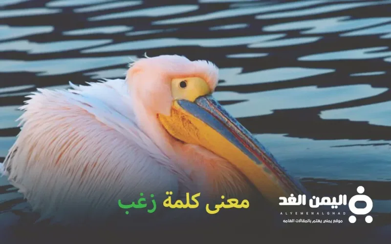 معنى كلمة زغب وهل هي نفسها كلمة زغبني في السعودية الخليج