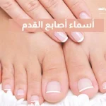 أسماء أصابع القدم