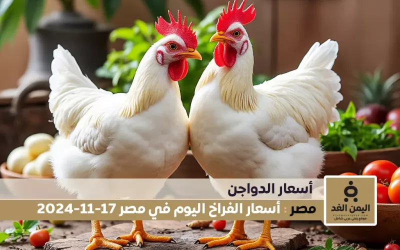 أسعار الفراخ البيضاء اليوم في مصر 17-11-2024 من سعر الدواجن الدجاج