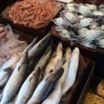 أسعار الأسماك اليوم الجمعة 22 نوفمبر 2024