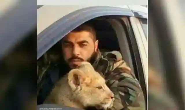 من هو طلال الدقاق الذي أطعم الأسد من لحوم المعتقلين