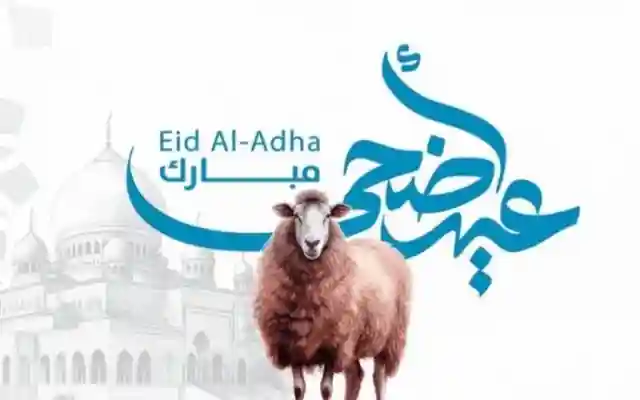 رسائل عيد الأضحى 2026 مسجات واتس اب فيس بوك صور عيد الأضحى الحج صور خروف كبش العيد 2026 موعد عيد الاضحى اليمن