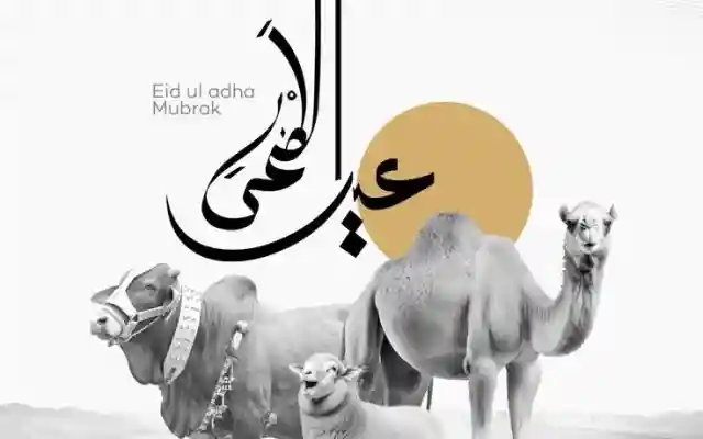 صور خروف عيد الاضحى 2026 من صور الخروف للعيد تصاميم خروف عيد الاضحى 2026