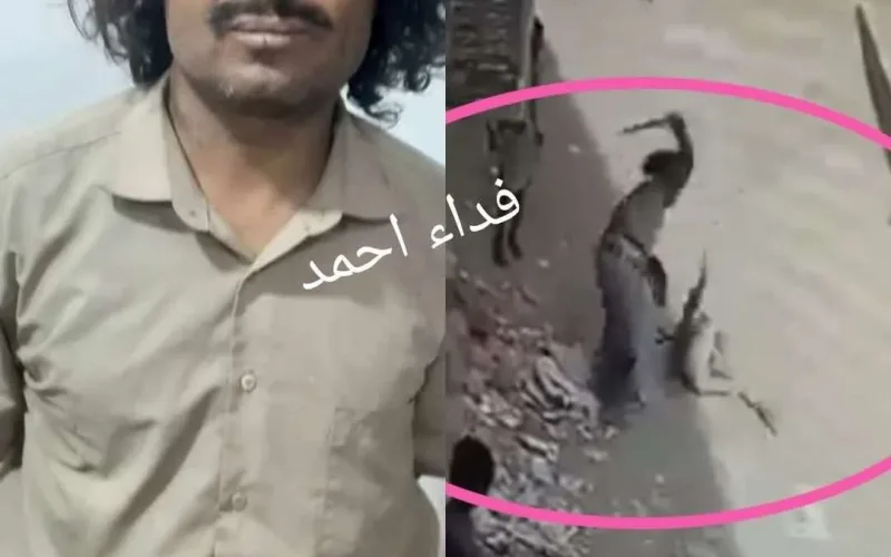 الأمن في مأرب يلقي القبض على معتدٍ على طفل بعد انتشار واسع لفيديو الاعتداء