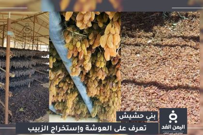 موسم "العوشة" في بني حشيش