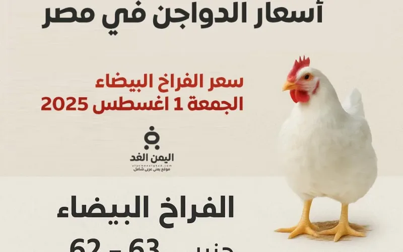 أسعار الدواجن اليوم الجمعة 1 أغسطس 2025 في الأسواق المصرية الفراخ البيضاء