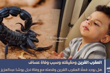 نفي وجود العقرب القرين بعد حادثة وفاة عساف ولد يوشا عبدالعزيز