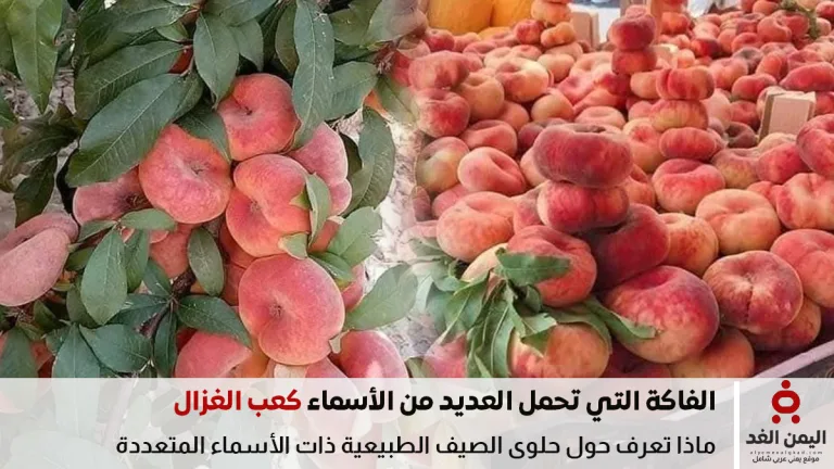 كعب الغزال