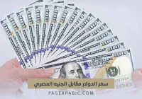 سعر الدولار اليوم في مصر
