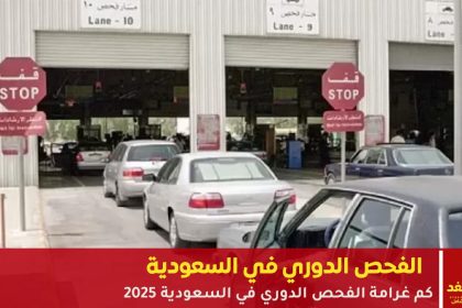 الفحص الدوري