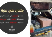 حالة من الغضب بسبب صور نقل جثمان الفنان علي عنبة من مصر إلى عدن