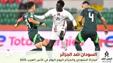 مباراة السودان والجزائر