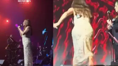 تعثر إليسا على المسرح