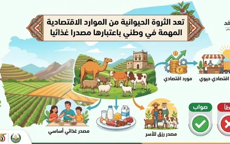تم الحل: تعد الثروة الحيوانية من الموارد الاقتصادية المهمة في وطني باعتبارها مصدرا غذائيا صواب أو خطأ